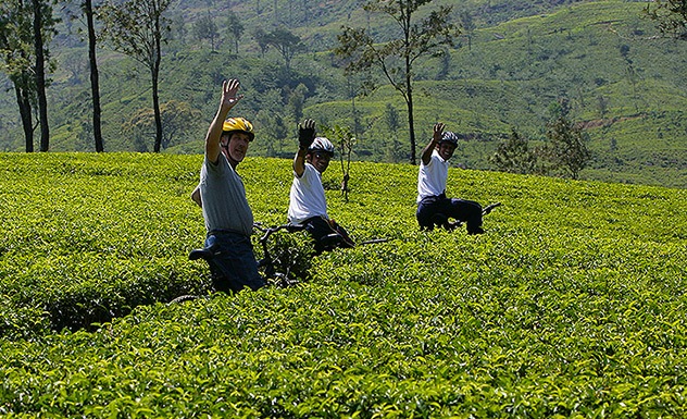 Tea Trails experience: cycling - Experience - Sri Lanka In Style